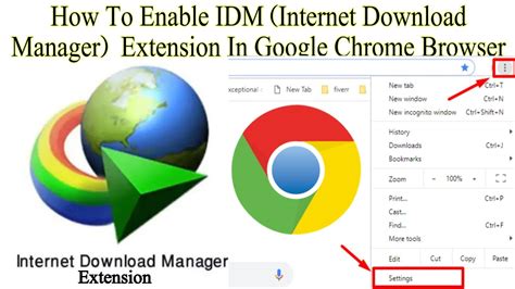 Internet Download Manager: Chrome browser .